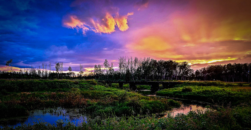 Sun Rise - Sun Set by MaryAnne Rocan